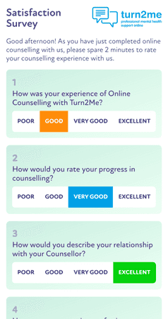 turn2me-07-mobile-satisfaction-survey turn2me-07-mobile-satisfaction-survey